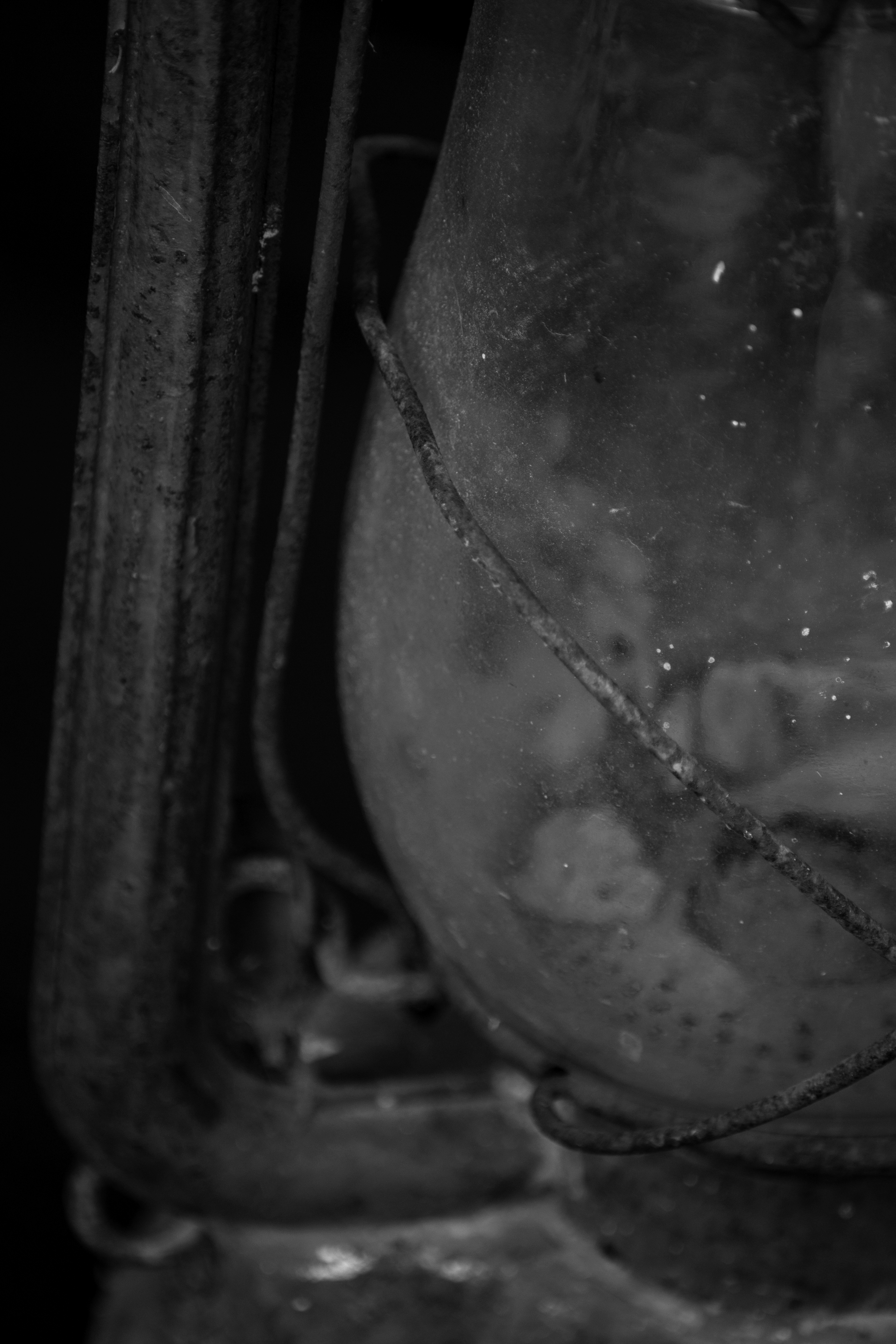 _DSC0596.png