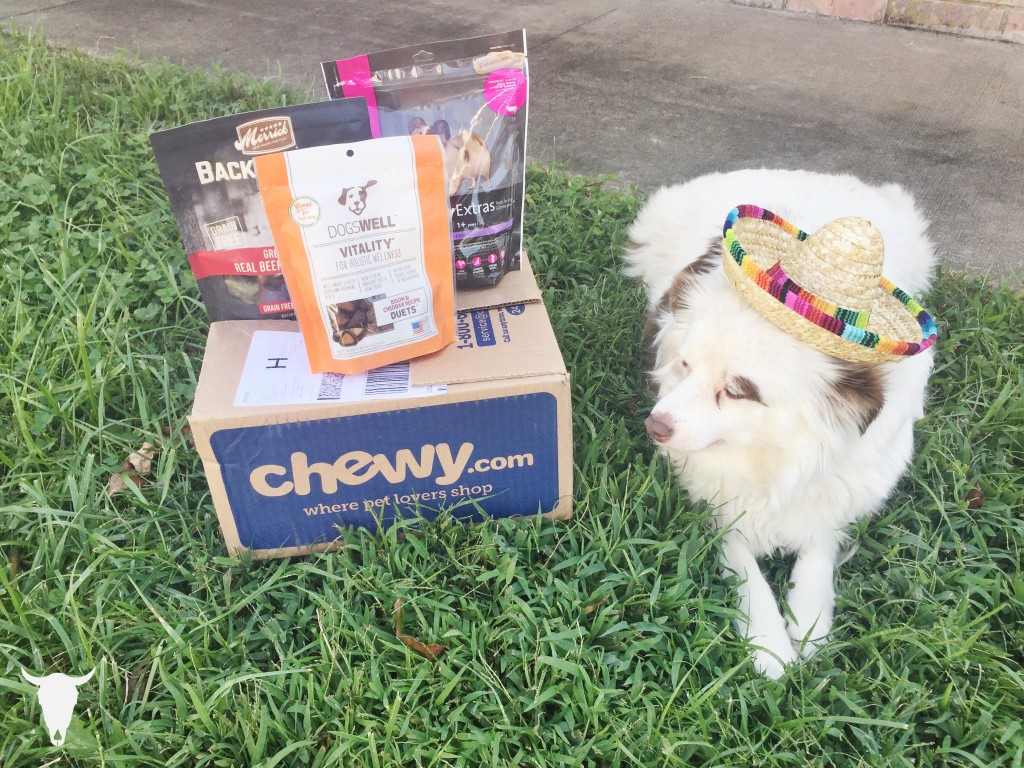 Rad Maverix Chewy.com