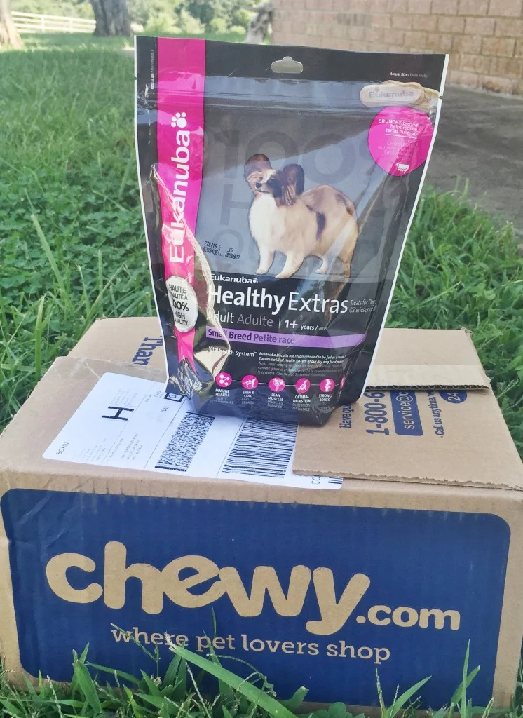 rad maverix chew.com