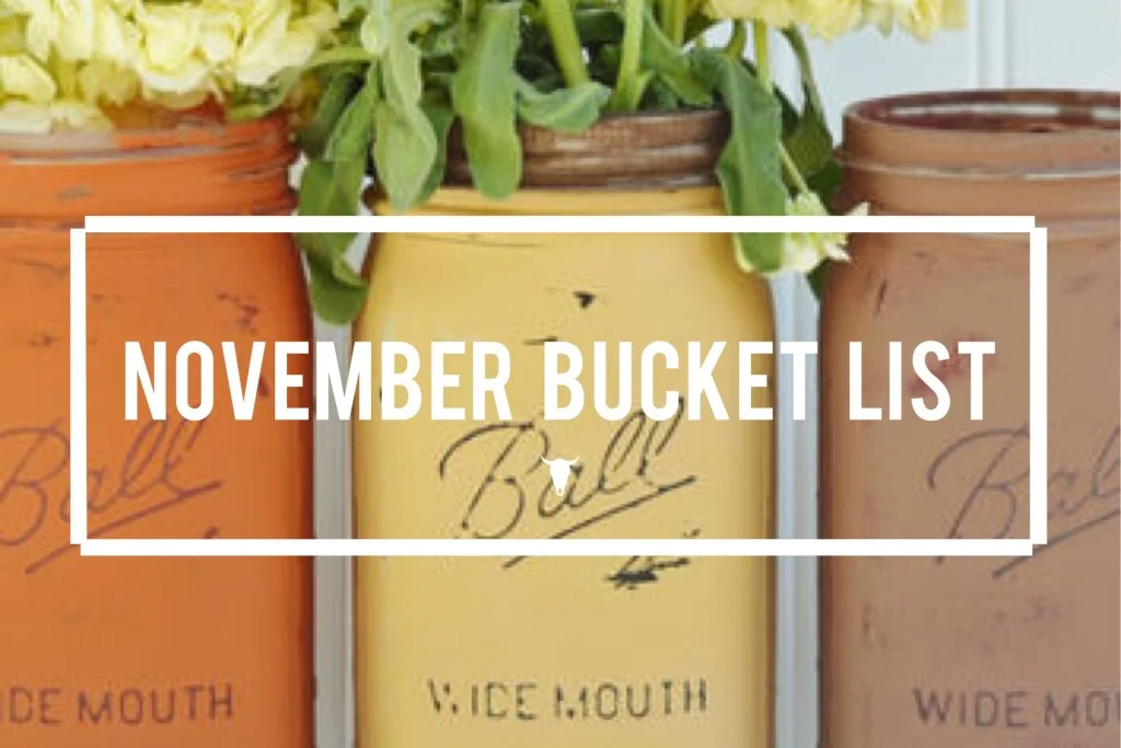 November Bucket List - Rad Maverix