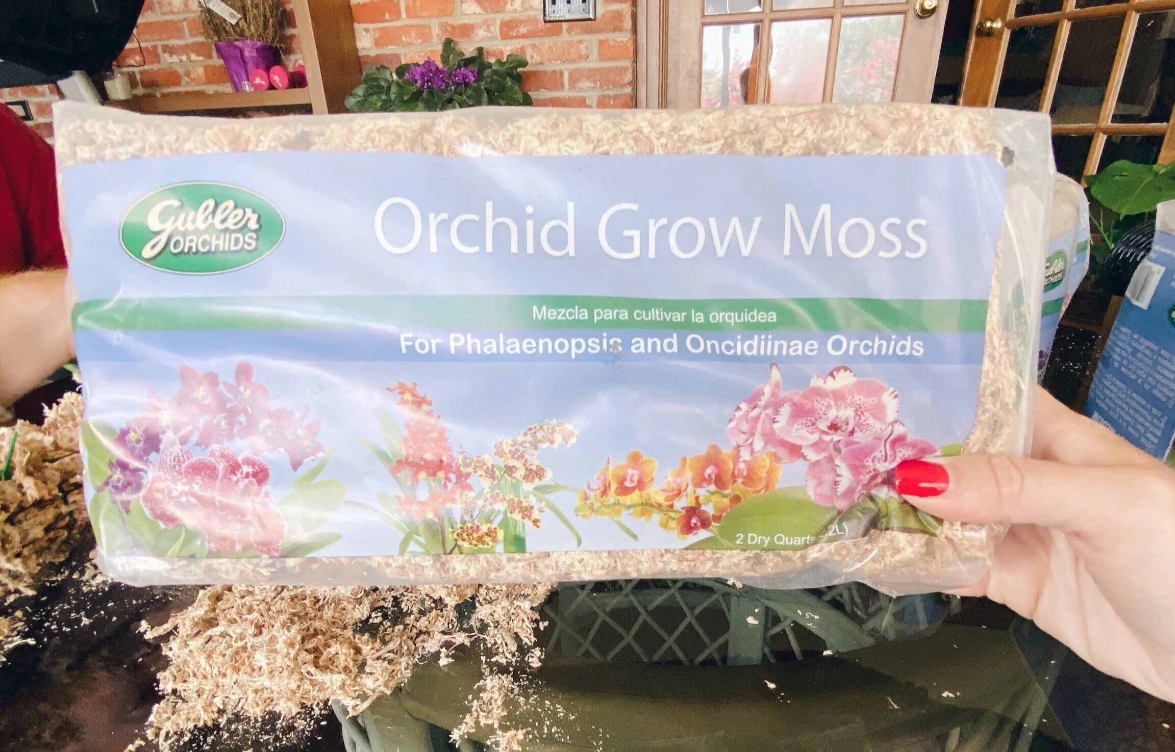 The Easiest DIY Moss Pole — Rad Maverix