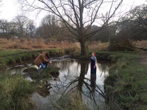 Plunging in the pond