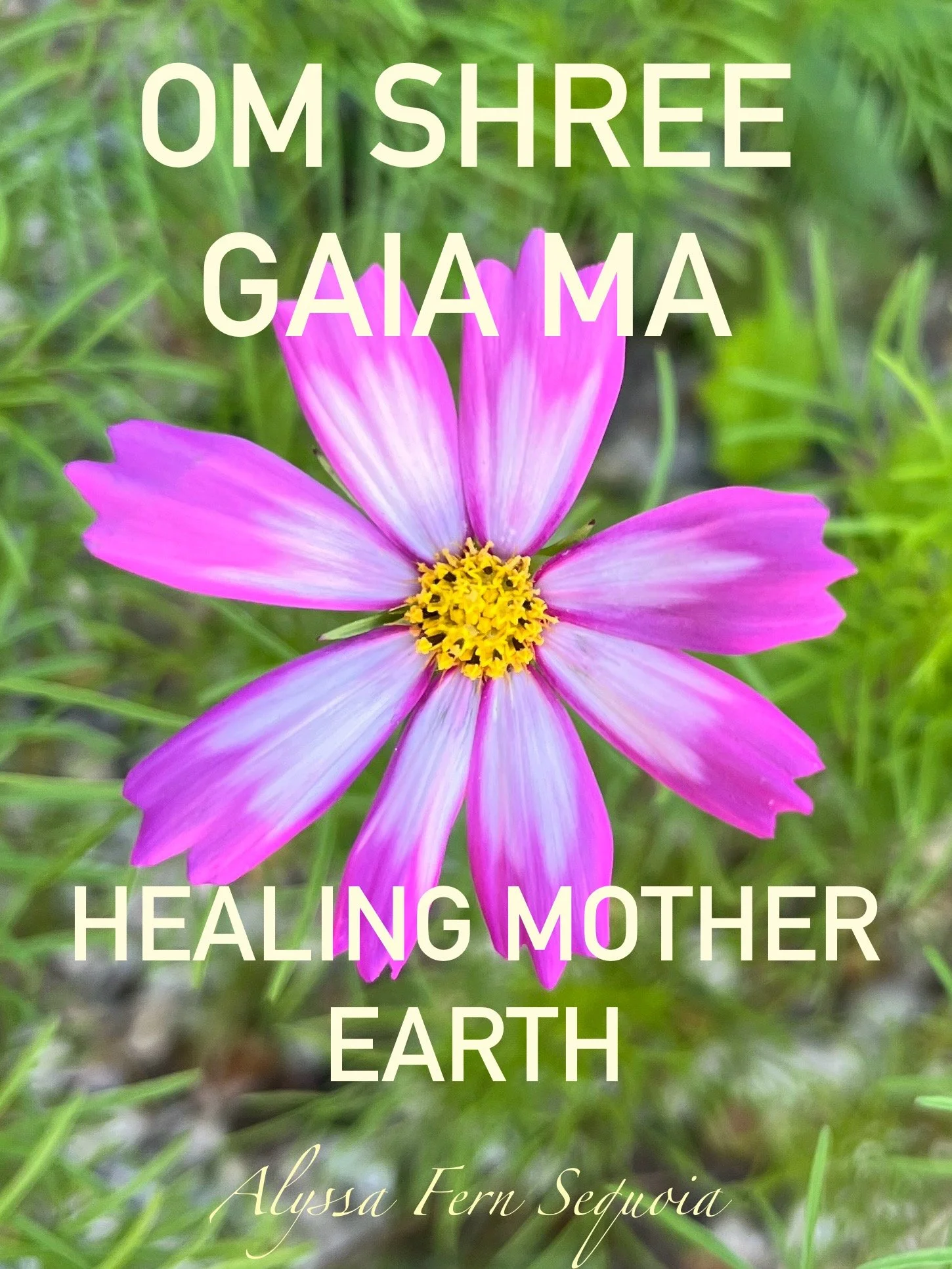 Chant with me ♥️ This is my prayer because SHE the Divine Mother Earth is suffering and needs us to Heal Her ~ Protect Her ~ Honor Her - Teach of her Sacredness - Her health and healing is human health and healing ~ We are guests here ~