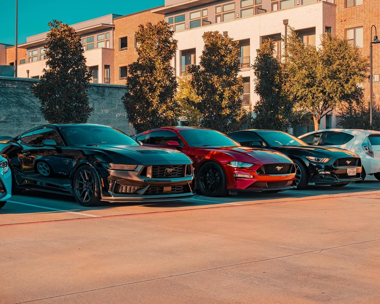 Three generations of horsing around 🐴🏎️

📸 Fujifilm X-T5 | Fujinon XF 16-80mm

#fujifilm #fujifilm_xseries #fujifeed #fujinon #photographer #photography #streetphotography #photogram #photograph #cargram #carinstagram #carphotography #carcare #mus