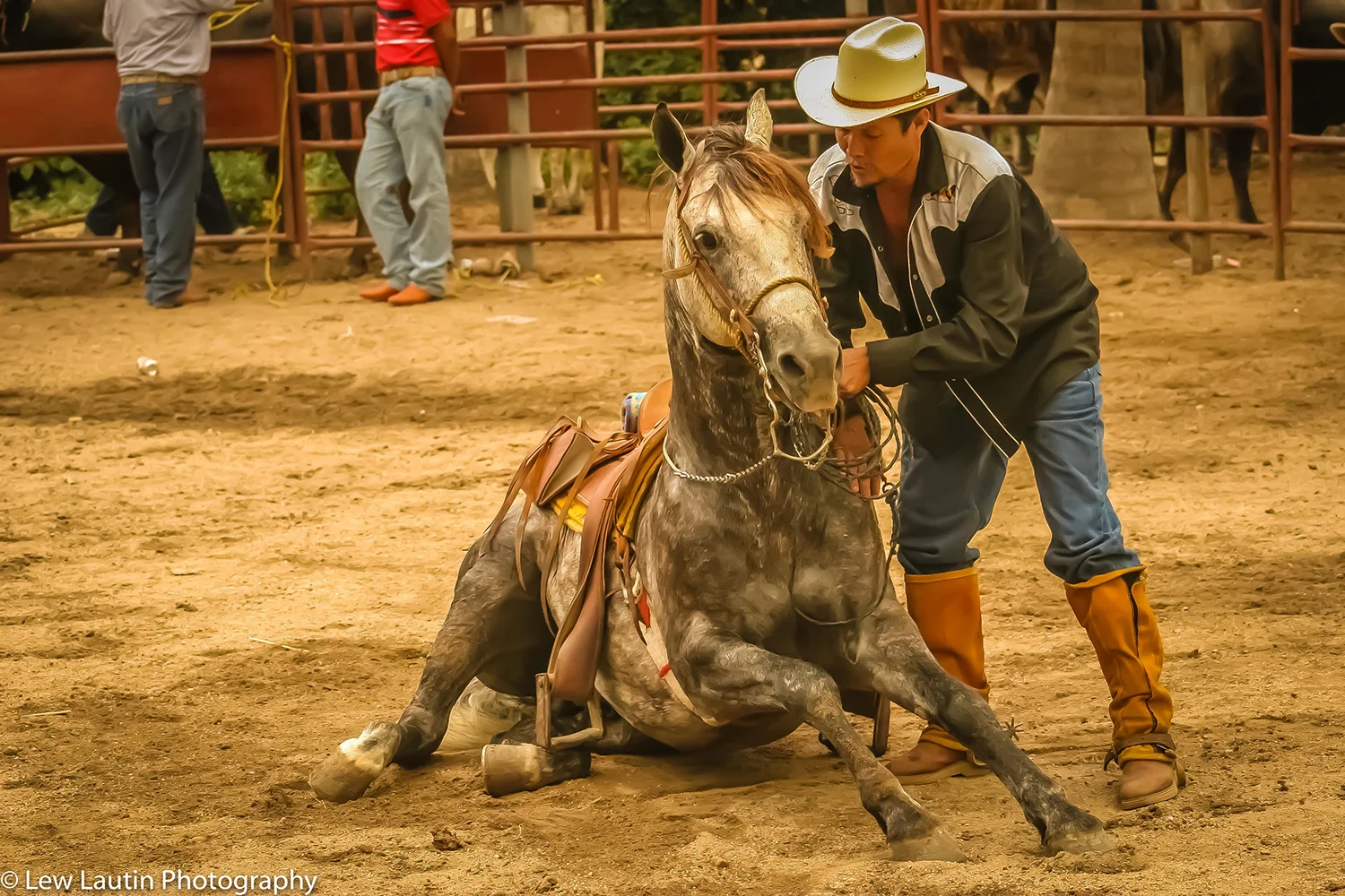 Mexico Rodeo-662.jpg