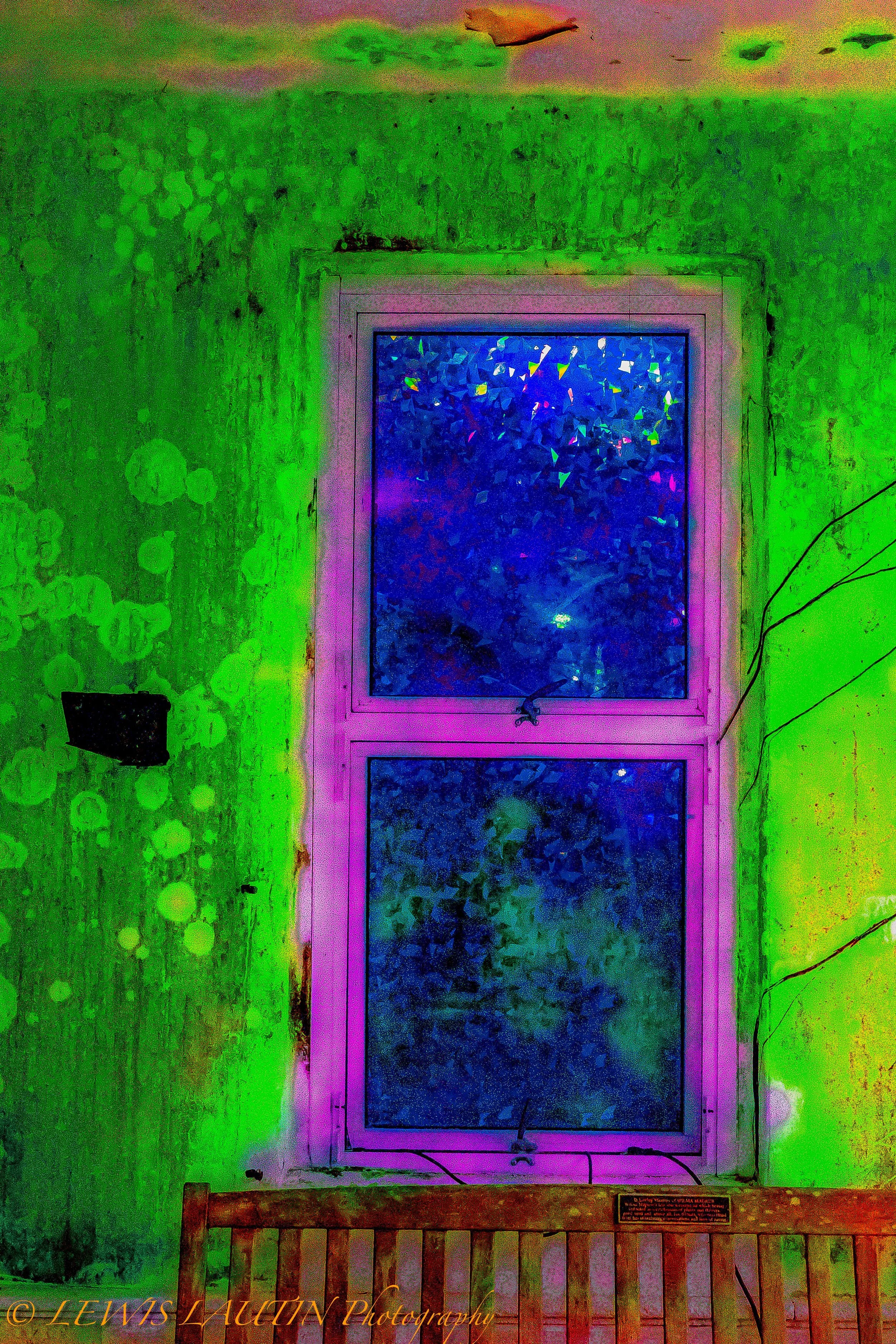 Fairchild Gardens. Abstract. Homage to Richard Diebenkorn Two.