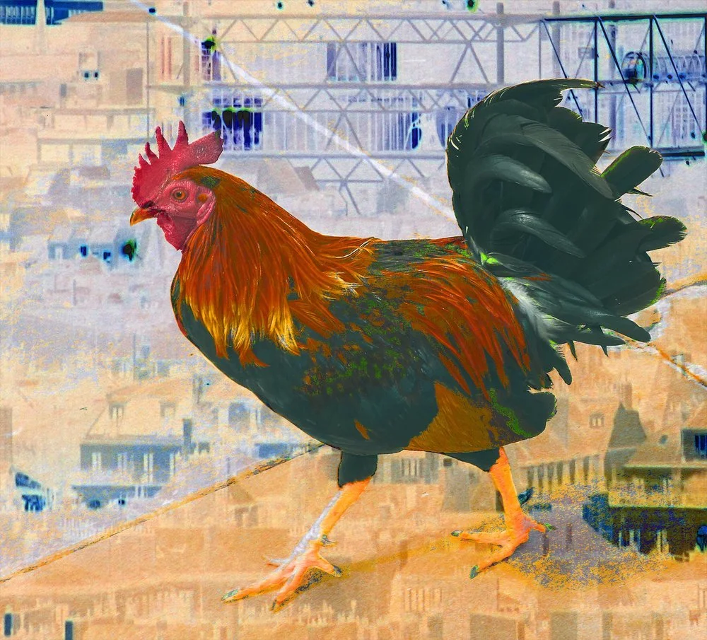 Pompidou Center, Paris with Key West Rooster