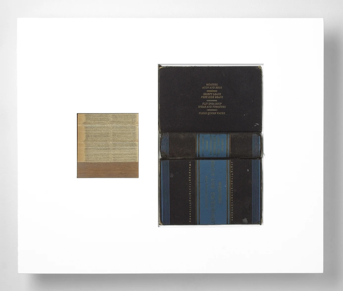 SNPs/slips (15), laser engraved dictionary cover, pages, in lacquered frame, 20 x 24 x 2.75 inches, 2003