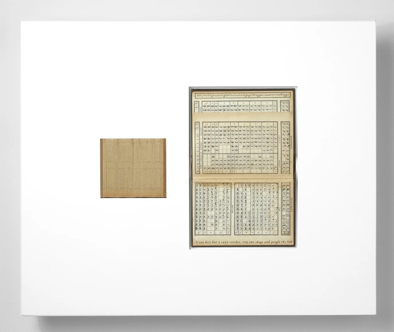 SNPs/slips (20), laser engraved dictionary cover, pages, in lacquered frame, 20 x 24 x 2.75 inches, 2003