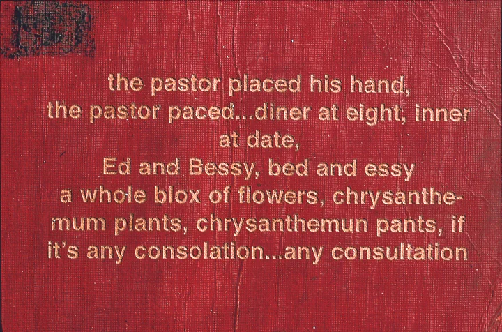 SNPs/slips (9), detail, laser engraved text on dictionary cover