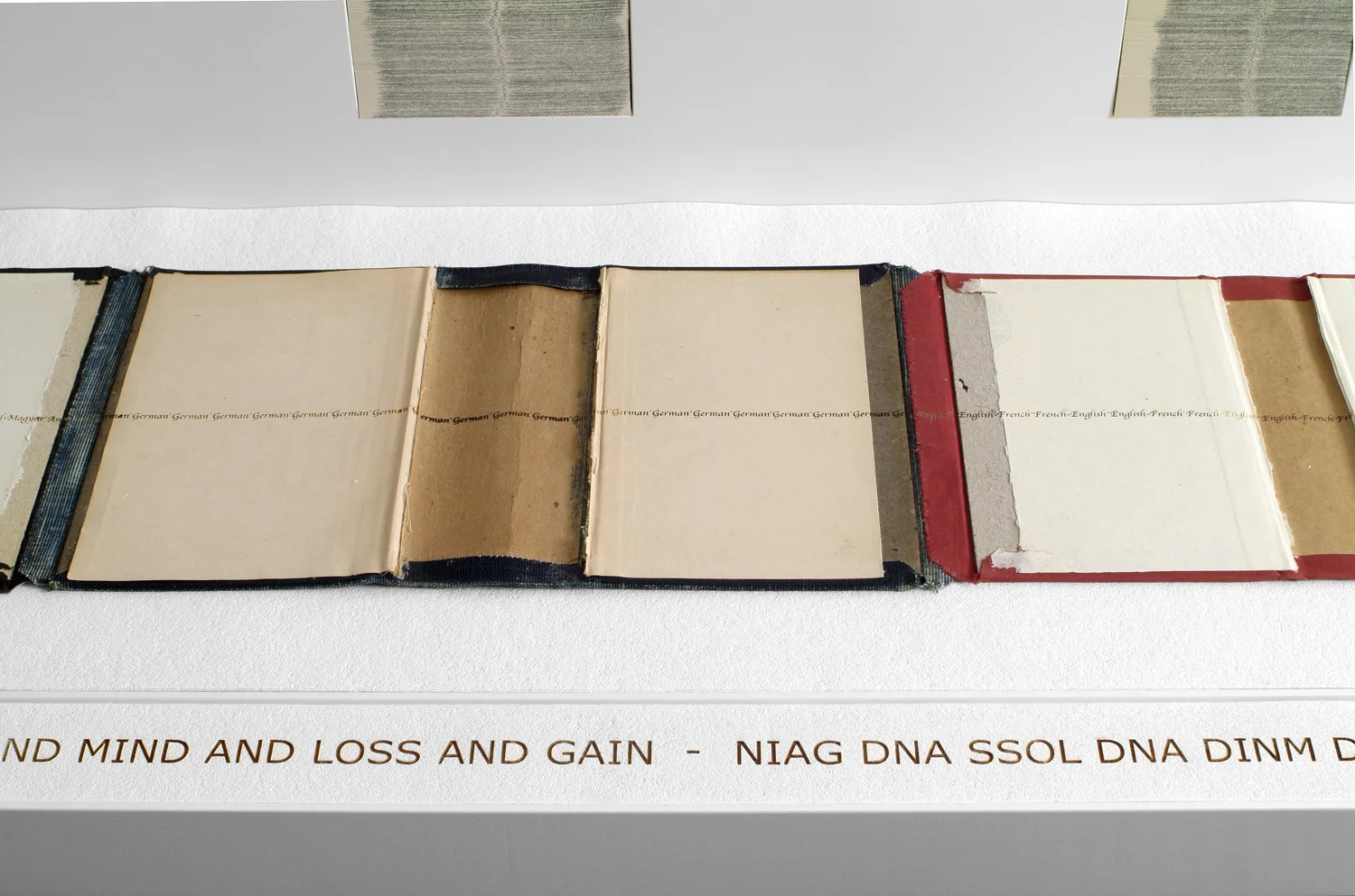 ledger joins dictionary covers of multiple languages into one long (twelve foot) book cover placed on a shelf. The shelf is backed with mounted cut dictionary pages placed vertically in columns. Text is engraved into the surface of the covers and in…