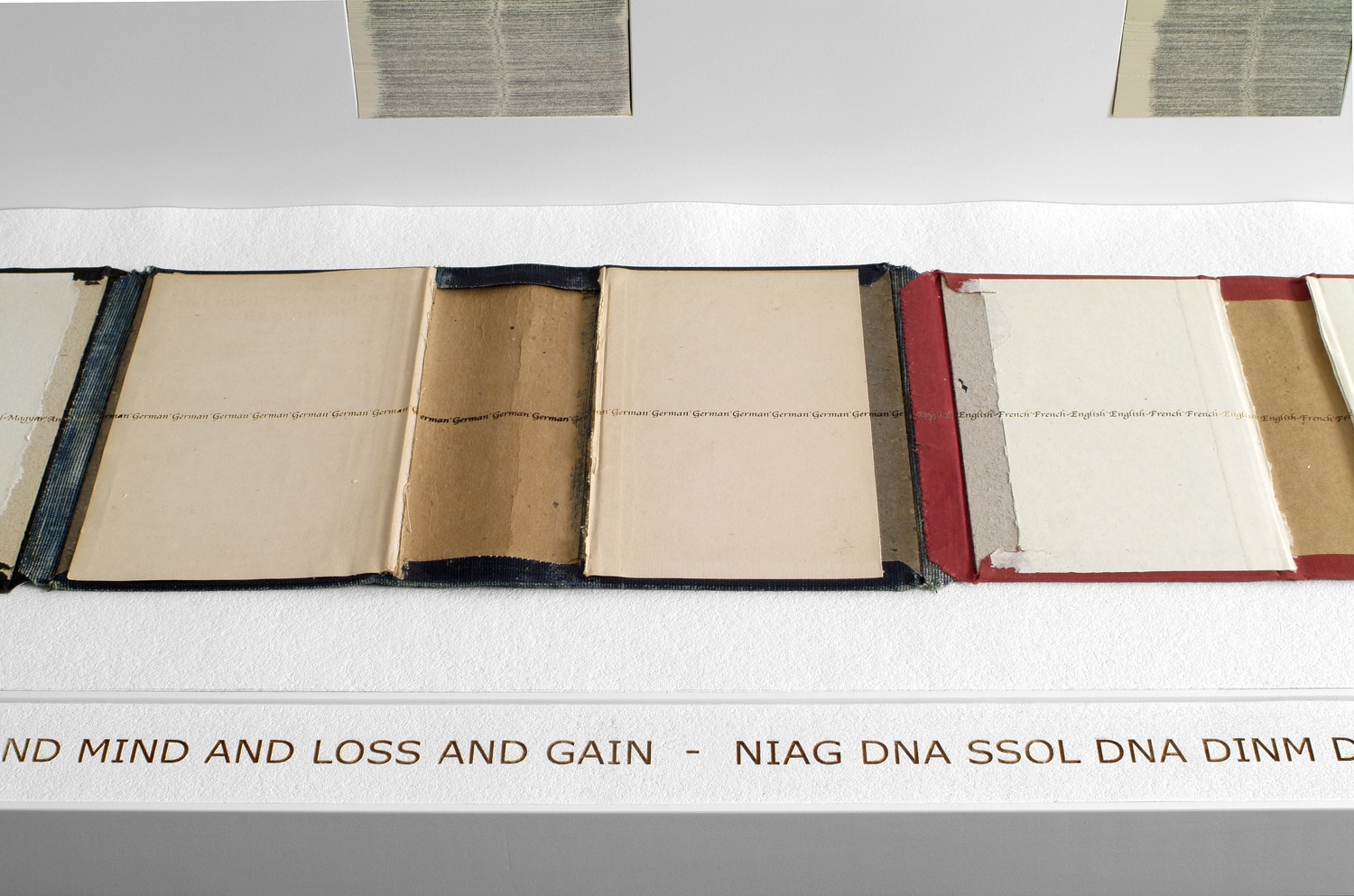 ledger joins dictionary covers of multiple languages into one long (twelve foot) book cover placed on a shelf. The shelf is backed with mounted cut dictionary pages placed vertically in columns. Text is engraved into the surface of the covers and into a piece of felt to explore ideas about personal and universal measurements of loss and gain.