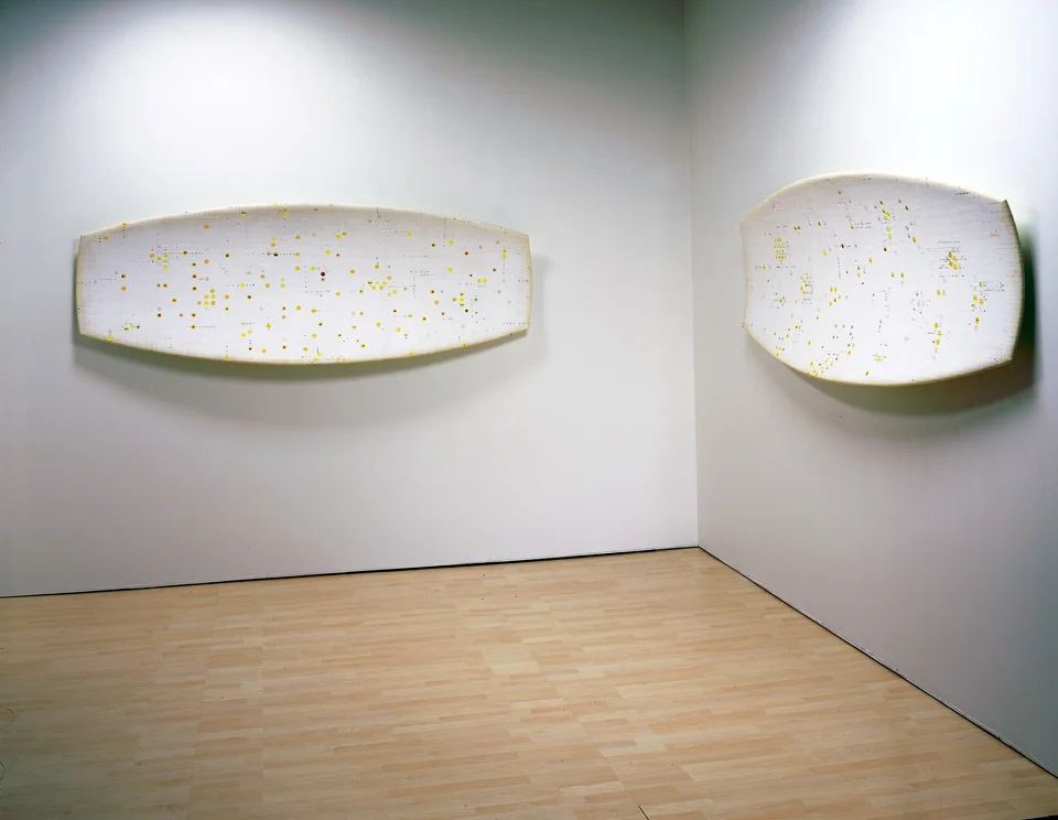 genePool 2, 1 (of 4), paint, ink, sheet cork, molded plywood, 32 x 91 x 6 inches each, 2002