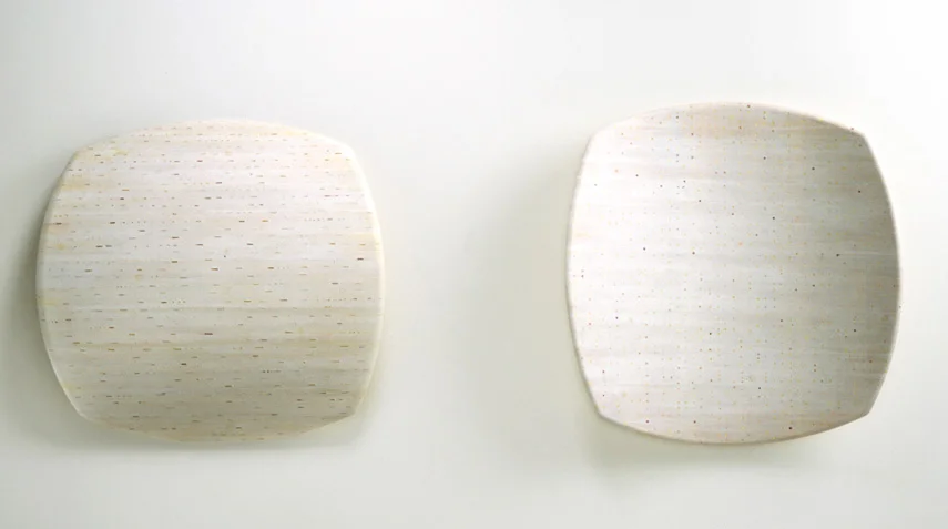 scrape/swab (2), paint, ink, sheet cork, shaped plywood, 33 x 32 x 5.5 inches(each), 2001