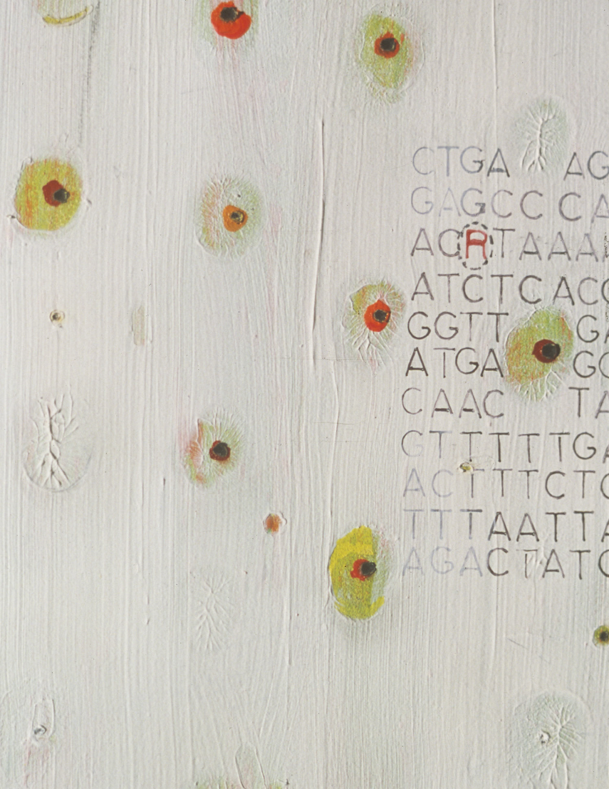 smear (3), detail