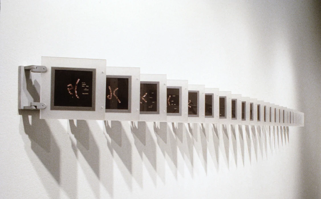 Possibilities and reversals , double-sided prints on paper, plexiglas and hinged aluminum frames, 1996