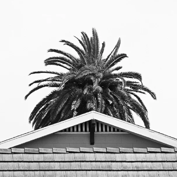 PHOTOGRAPHED BY JIM TURNER