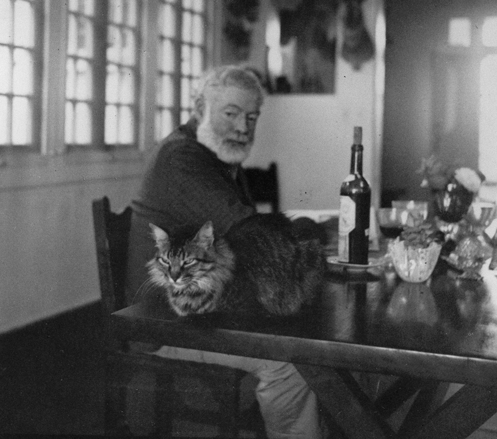 “Hemingway looks at this cat Cristobal on a table in Finca Vigia,” Year Unknown.Ernest Hemingway Collection, John F. Kennedy Presidential Library and Museum, Boston.
