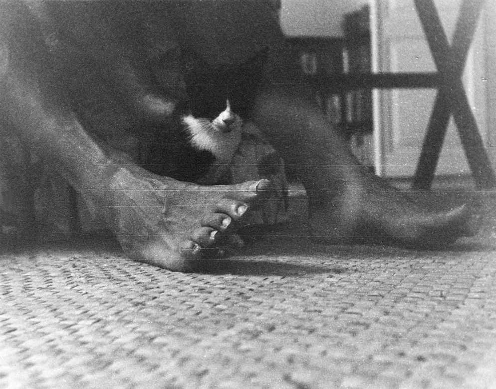“A kitten sits between Ernest Hemingway’s feet at Finca Vigia,” Year Unknown.Ernest Hemingway Collection, John F. Kennedy Presidential Library and Museum, Boston.