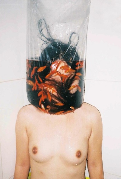 renhang.jpeg