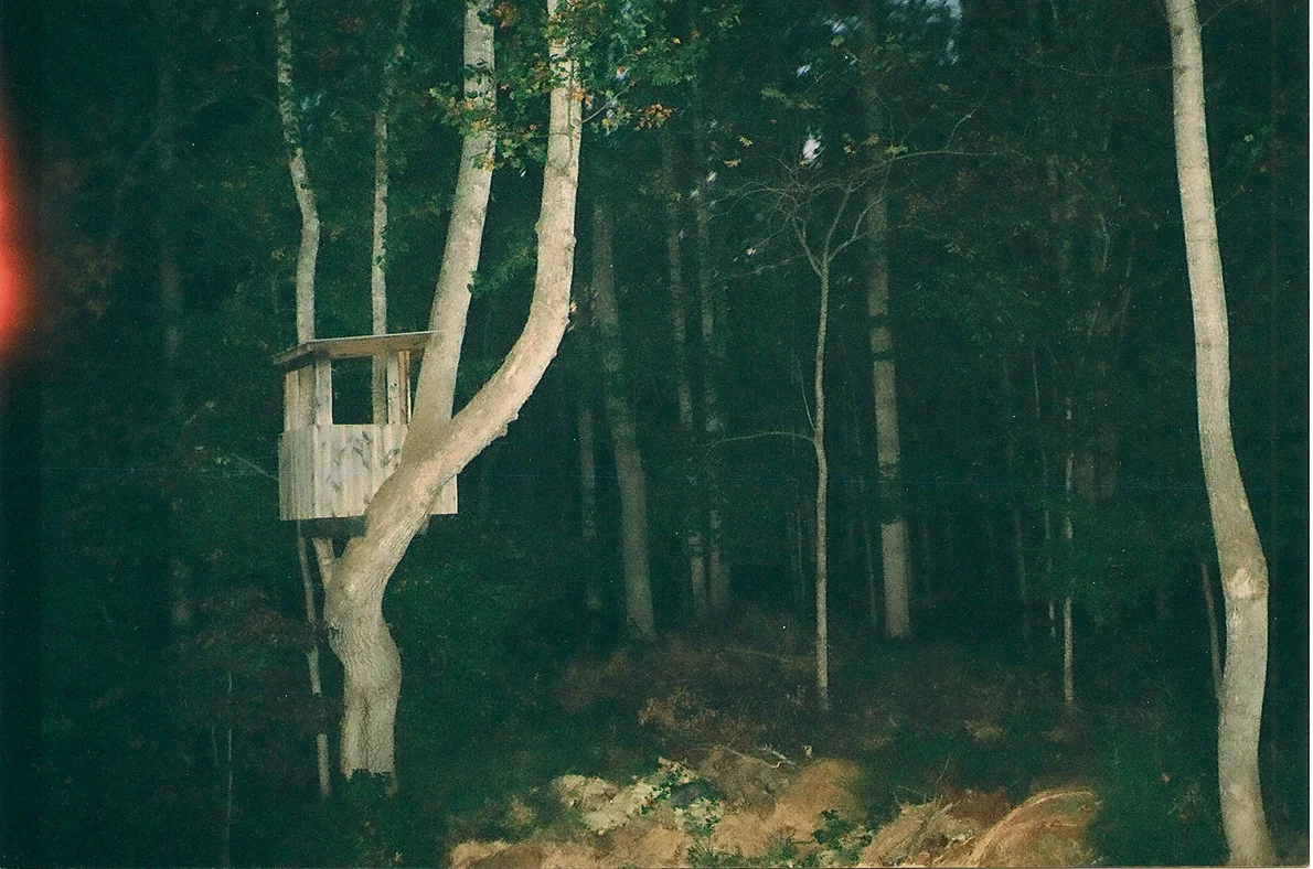 Treehouse.jpg