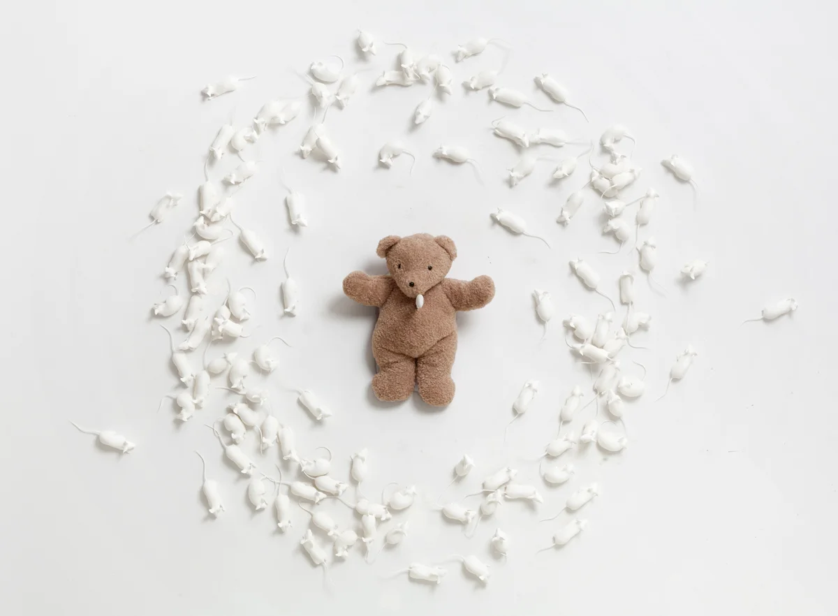 8-Hovnanian-Rachel-Lee_-Poor-Teddy_2014_Nylon-oil-teddy-bear-knife-silicone_Dimensions-variable_View-2-1.jpg