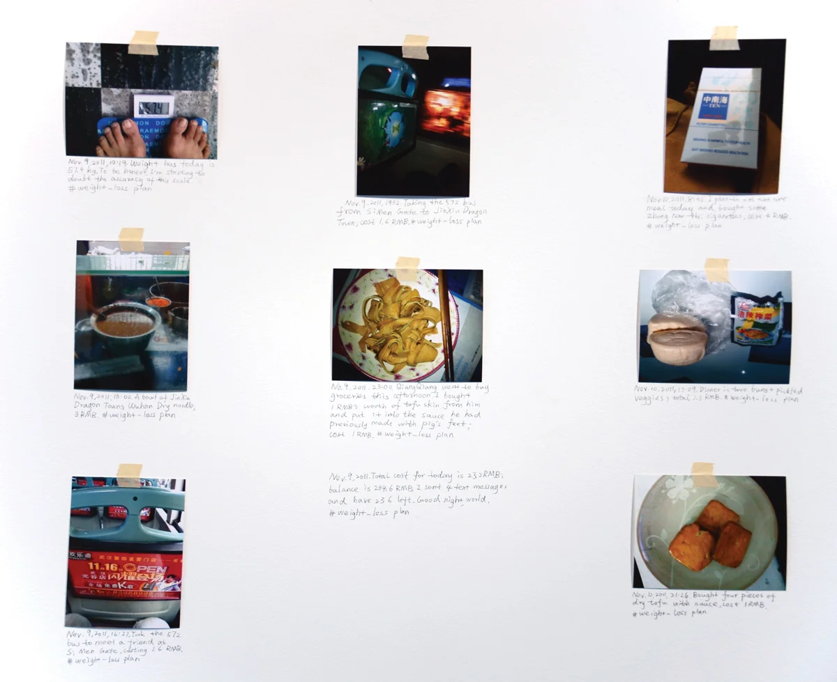 Installation-view-Weight-Loss-Plan-detail-2011-courtesy-Klein-Sun-Gallery.jpg