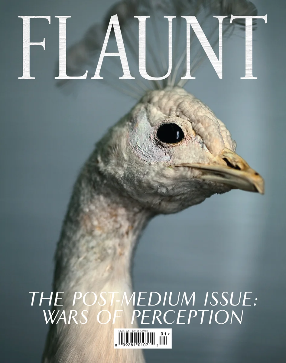 FLAUNT-ISSUE107.jpg