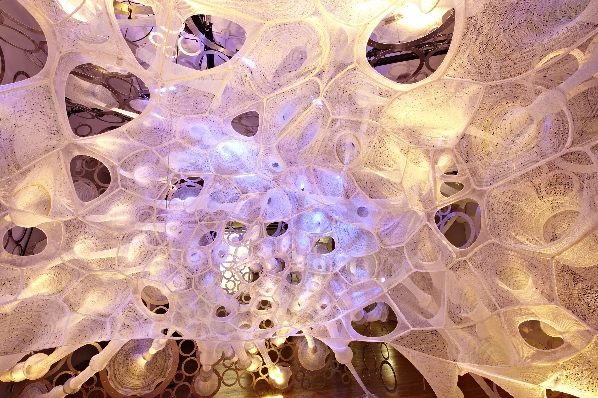 コレクション The Nature Of Inspiration (1962) Jenny Sabin: The Artist Behind MoMA PS1's 'Lumen' Exhibit