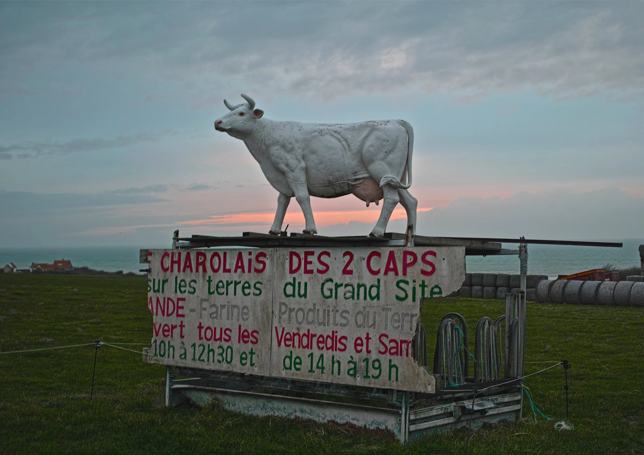 Michel Houellebecq, "France #004" (2017). Pigment print on Baryta paper mounted on aluminum. 39 3/16 x 57 1⁄2 in (99.5 x 146 cm)