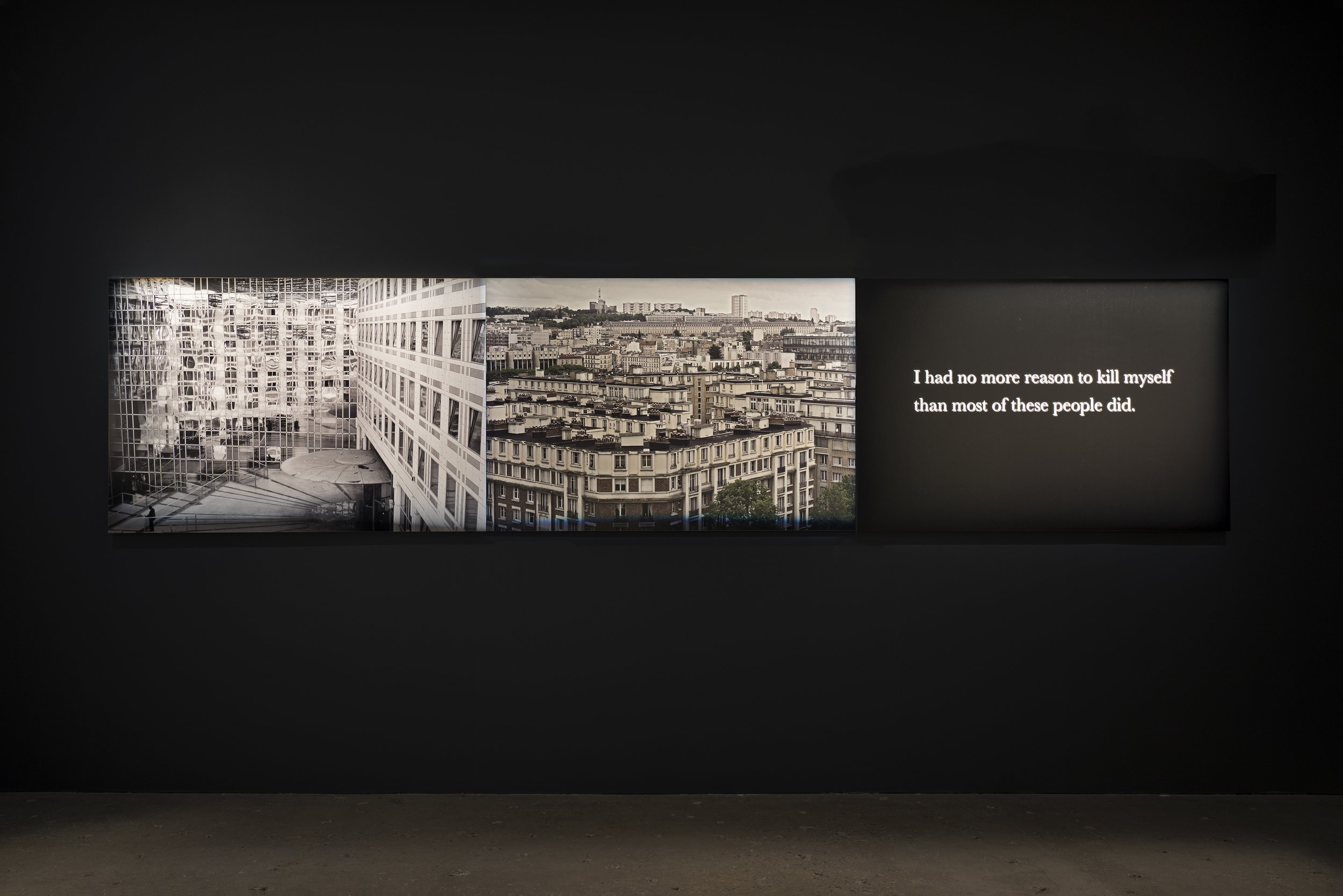 Michel Houellebecq, "France #008–France #009–I had..." (2017). Triptych: 3 pigment prints on Baryta paper mounted on aluminum all: 39 3/16 x 172 7/16 in (99.5 x 438 cm) each: 39 3/16 x 57 1/2 in (99.5 x 146 cm)