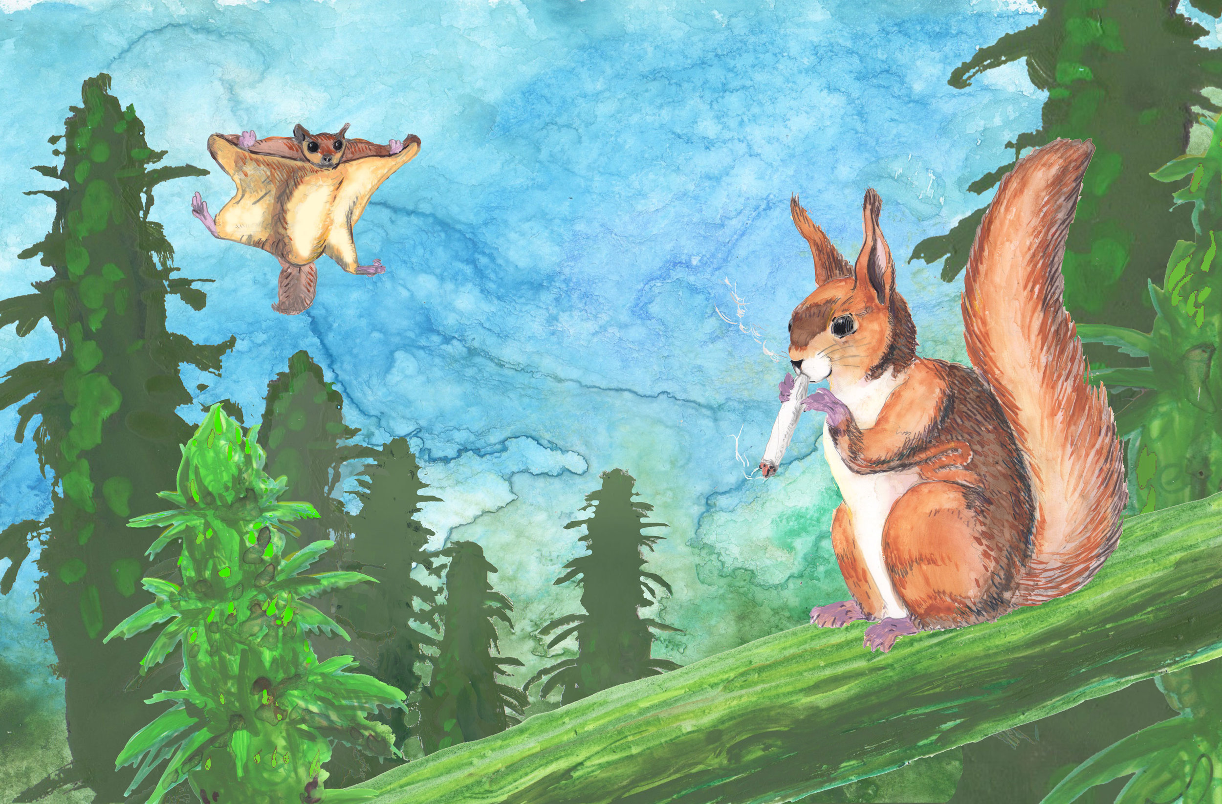 Illustrated by: Travis Farmen