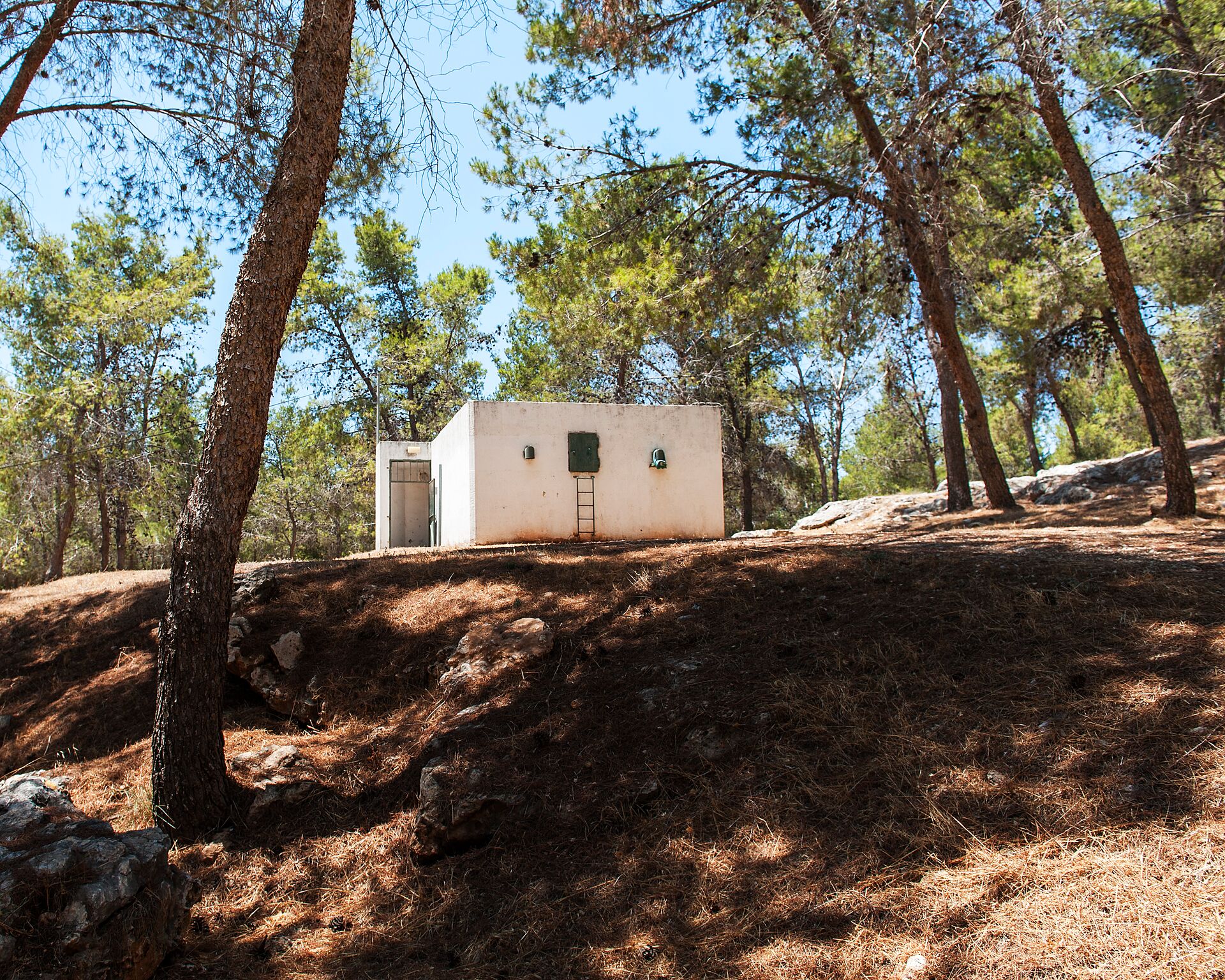 Photo via Adam Reynolds - Shelter in the woods