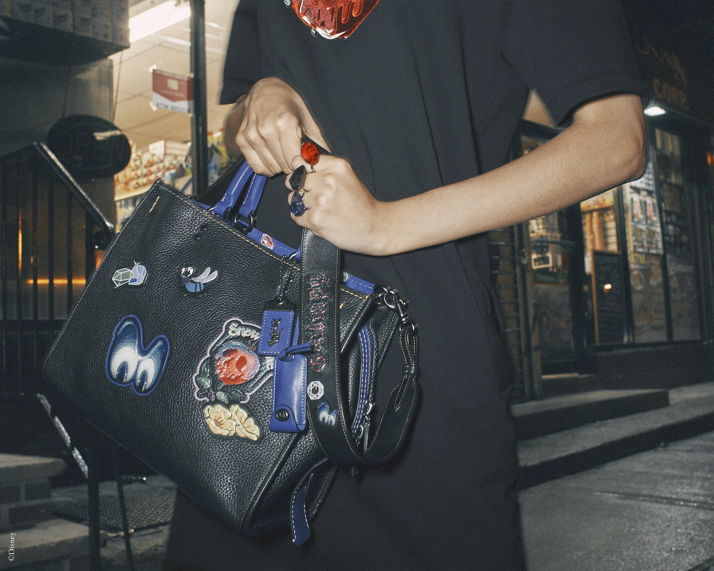 coach dark fairytale collection