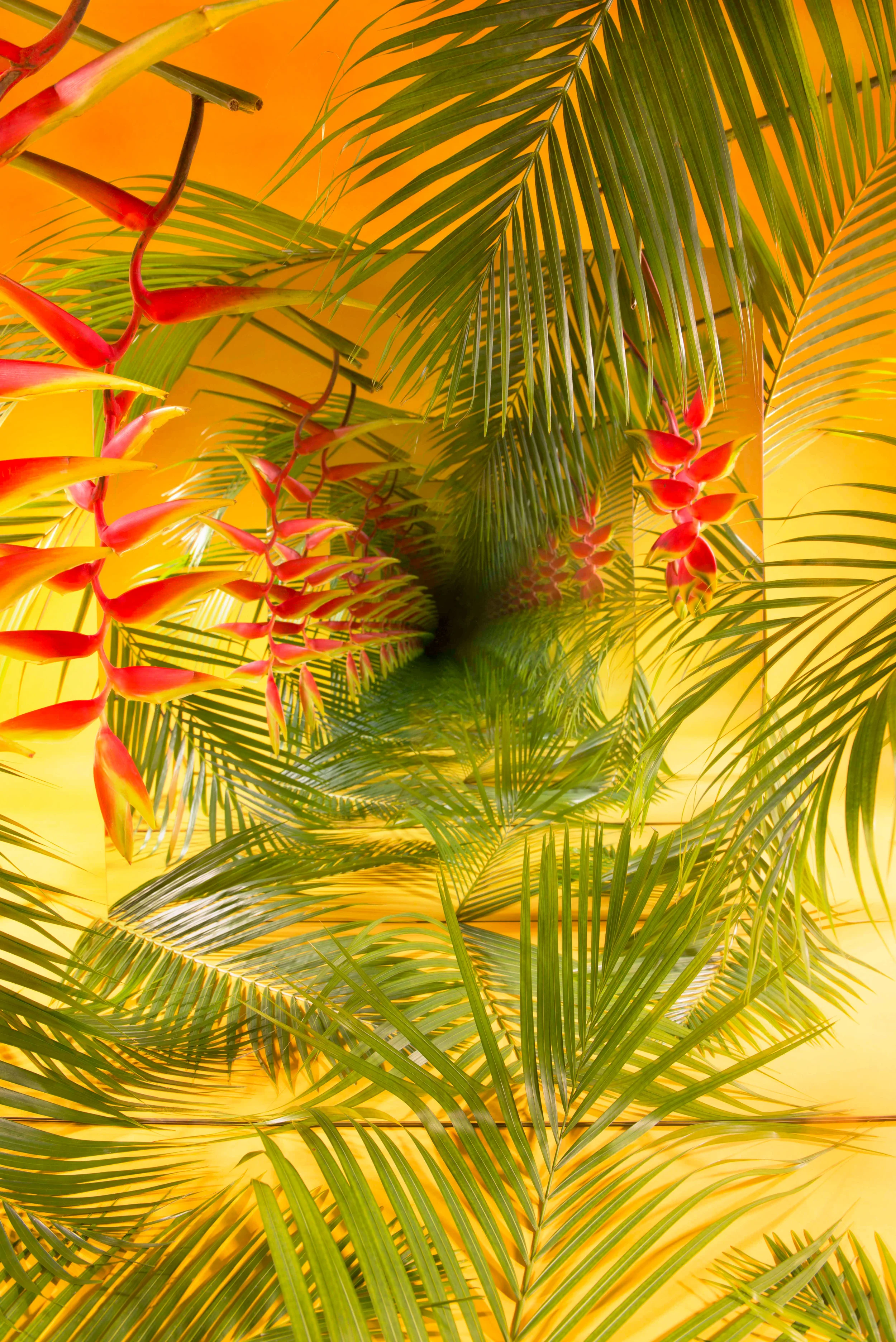 SARAH MEYOHAS. "TROPICAL SPECULATION" (2018). CHROMOGENIC PRINT. 40 X 60 INCHES. COURTESY OF THE ARTIST.