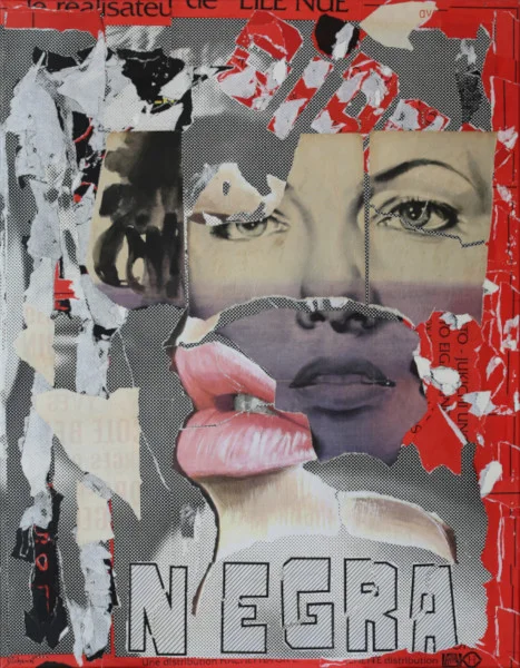 Dominique Lebrun, Negra, 2017, Collage on canvas 46 x 35 in