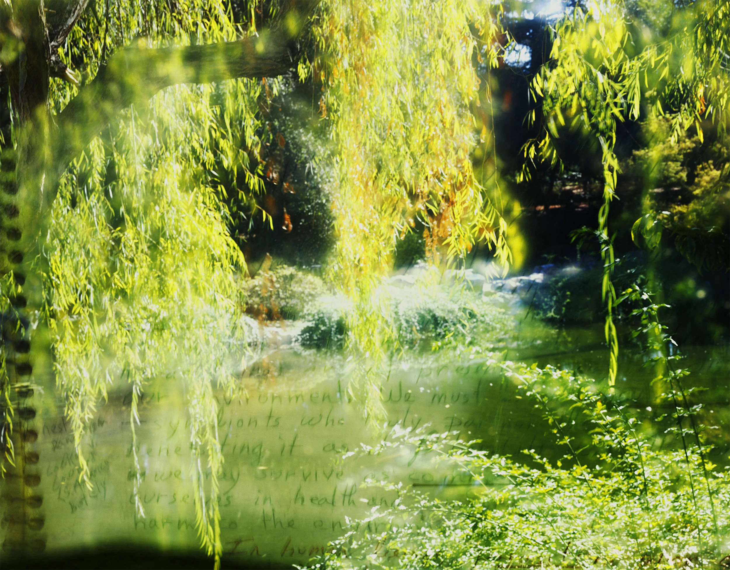 Chinese Garden and OEB 3245 commonplace book, journal fragment on climate change, 1990