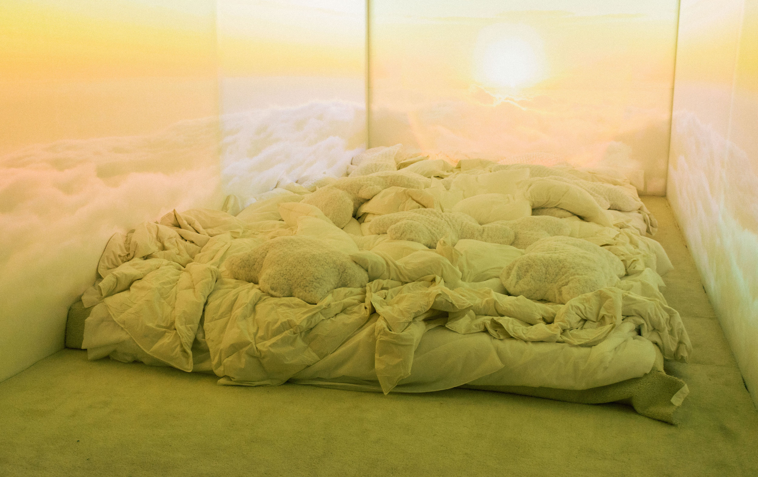  The Billie Eilish Experience   Photos by  Devin Kasparian  