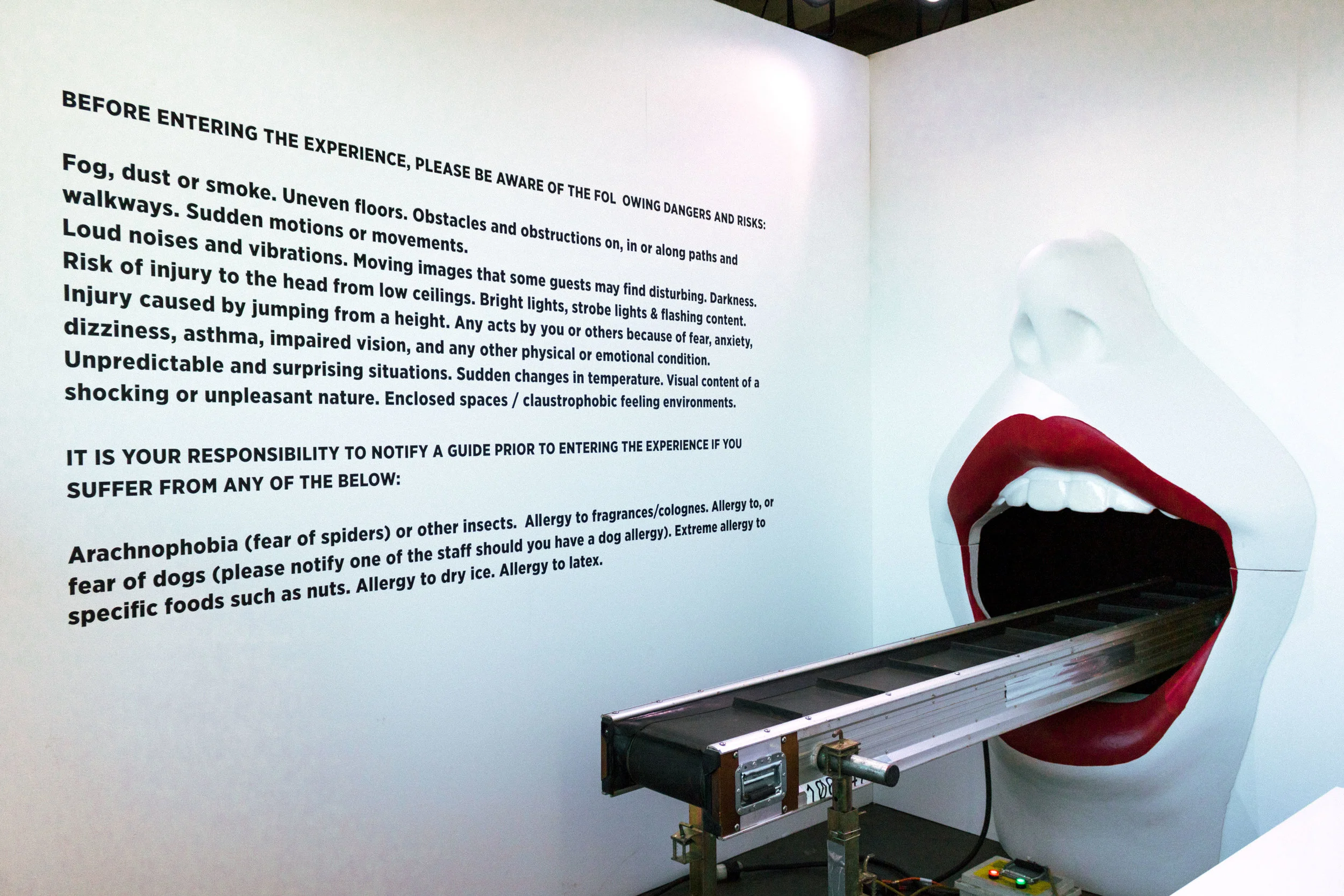  The Billie Eilish Experience  Photos by  Devin Kasparian  