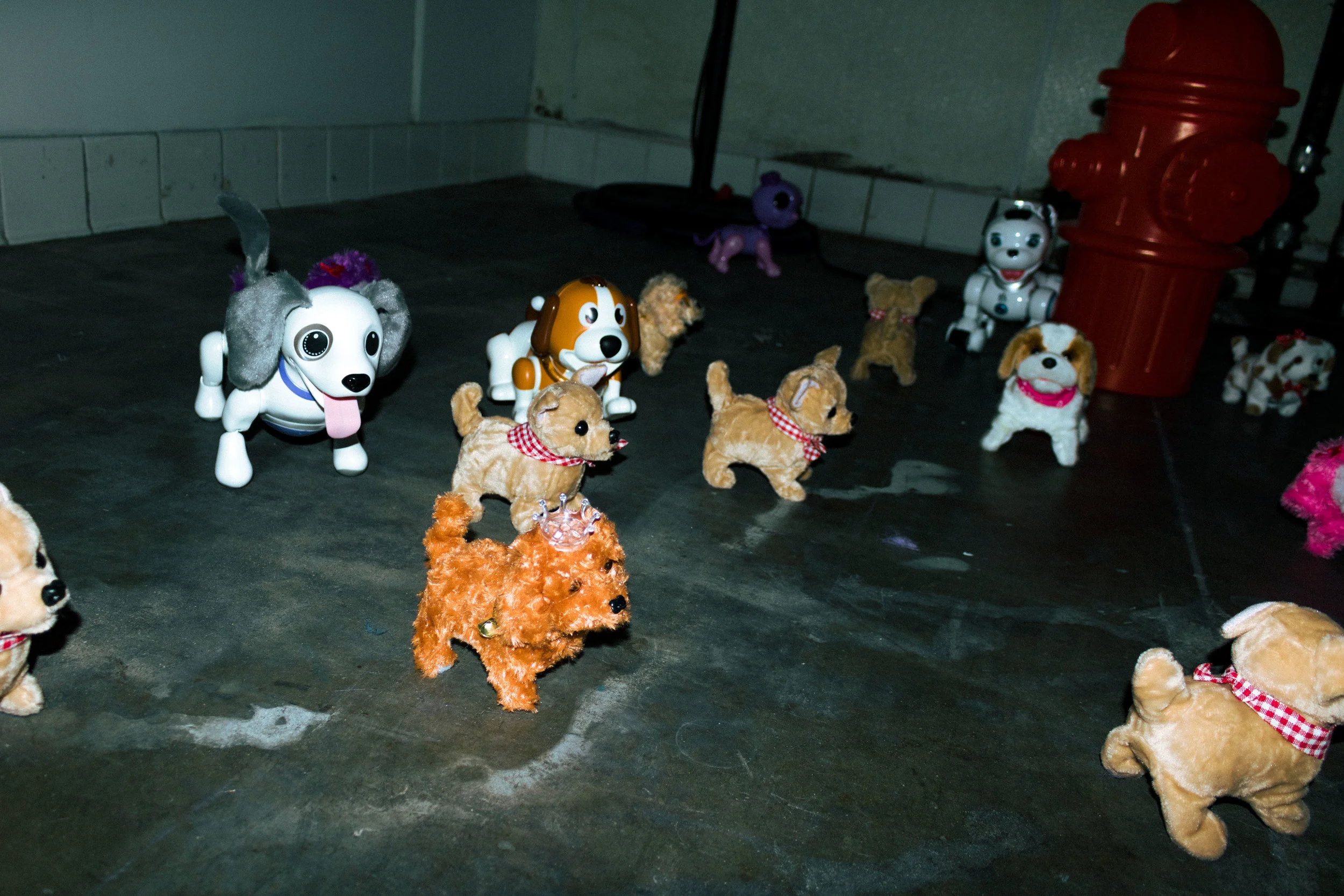  The Billie Eilish Experience  Photos by  Devin Kasparian  