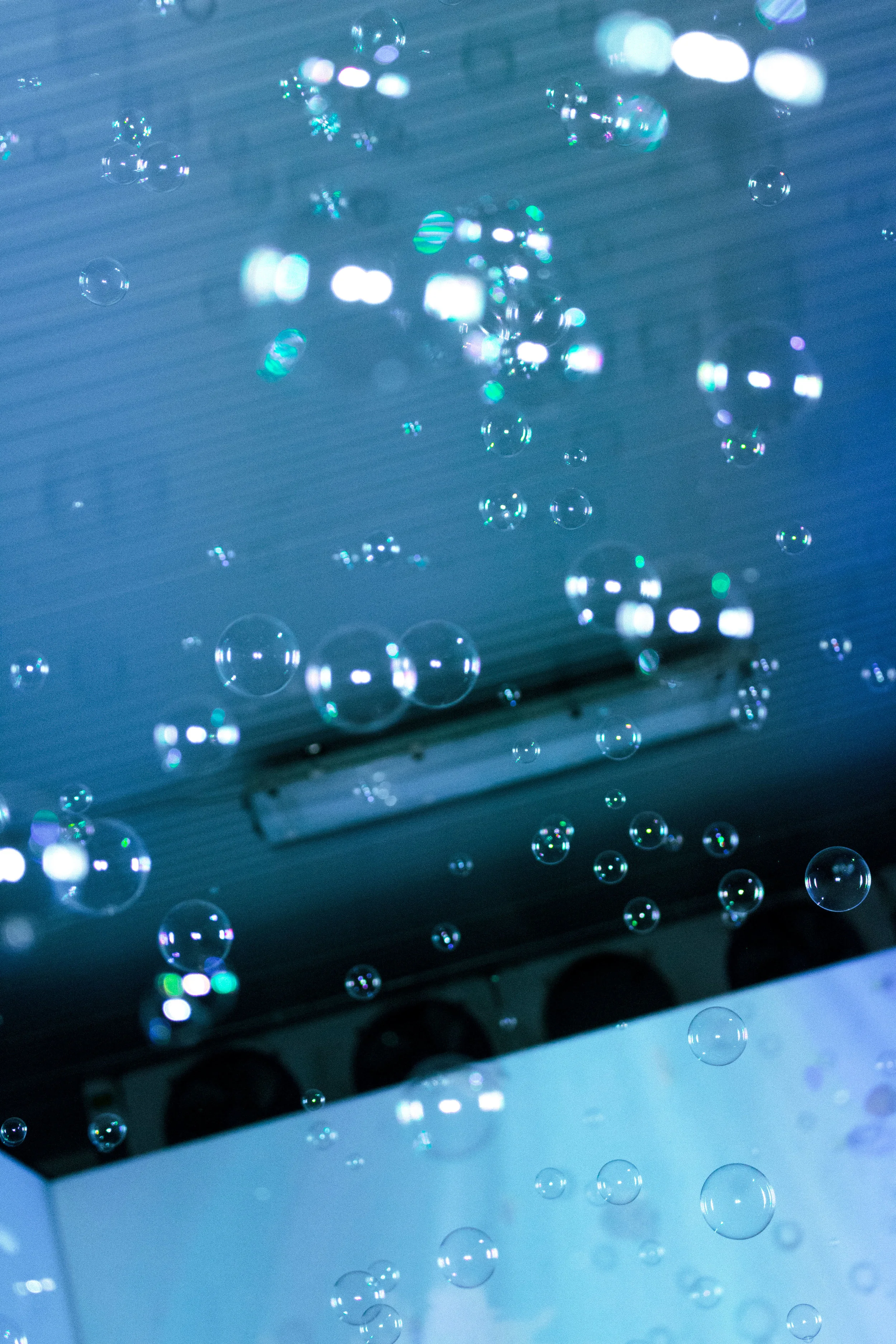  The Billie Eilish Experience  Photos by  Devin Kasparian  