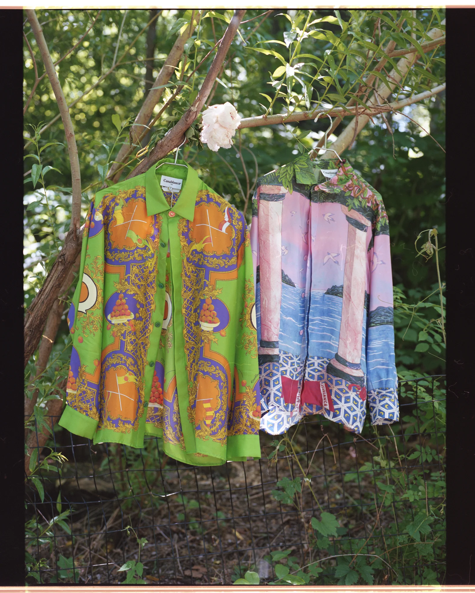 Q A Charaf Tajer Of Casablanca Flaunt Magazine