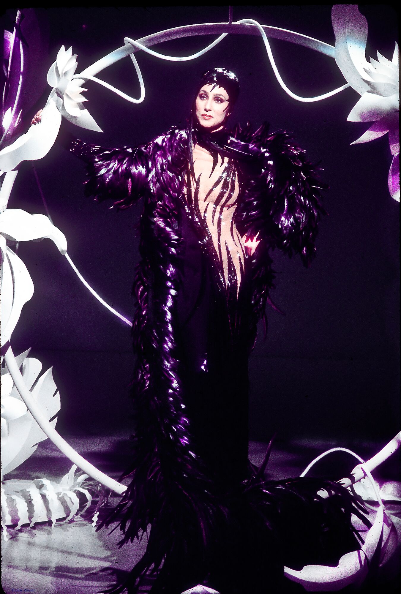  Julian Wasser, Cher (Wearing a Bob Mackie Gown) , 1975 