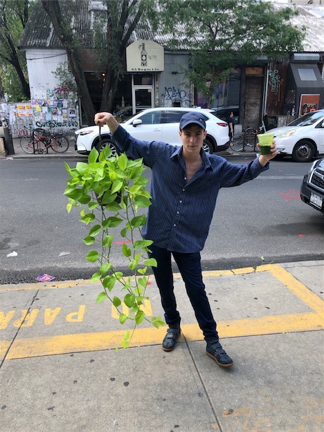 Upon arriving at my apartment I realized that all my plants had died. It was a truly sad moment. To cheer myself up I went to a nearby Plant shop and bought this beauty. Her name is Mafalda.