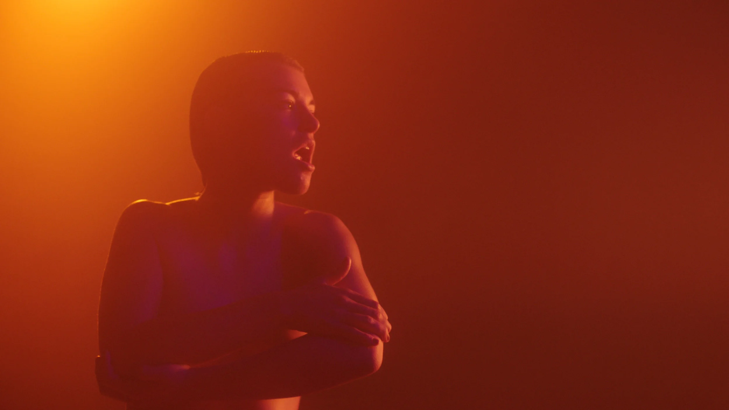 Michael Portnoy, Progressive Touch: Series 1 , video still