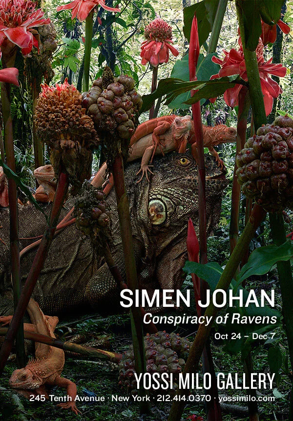 Simen Johan