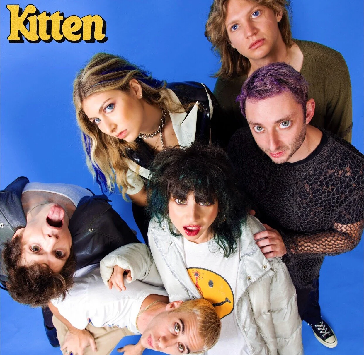 Photo Diary | Kitten