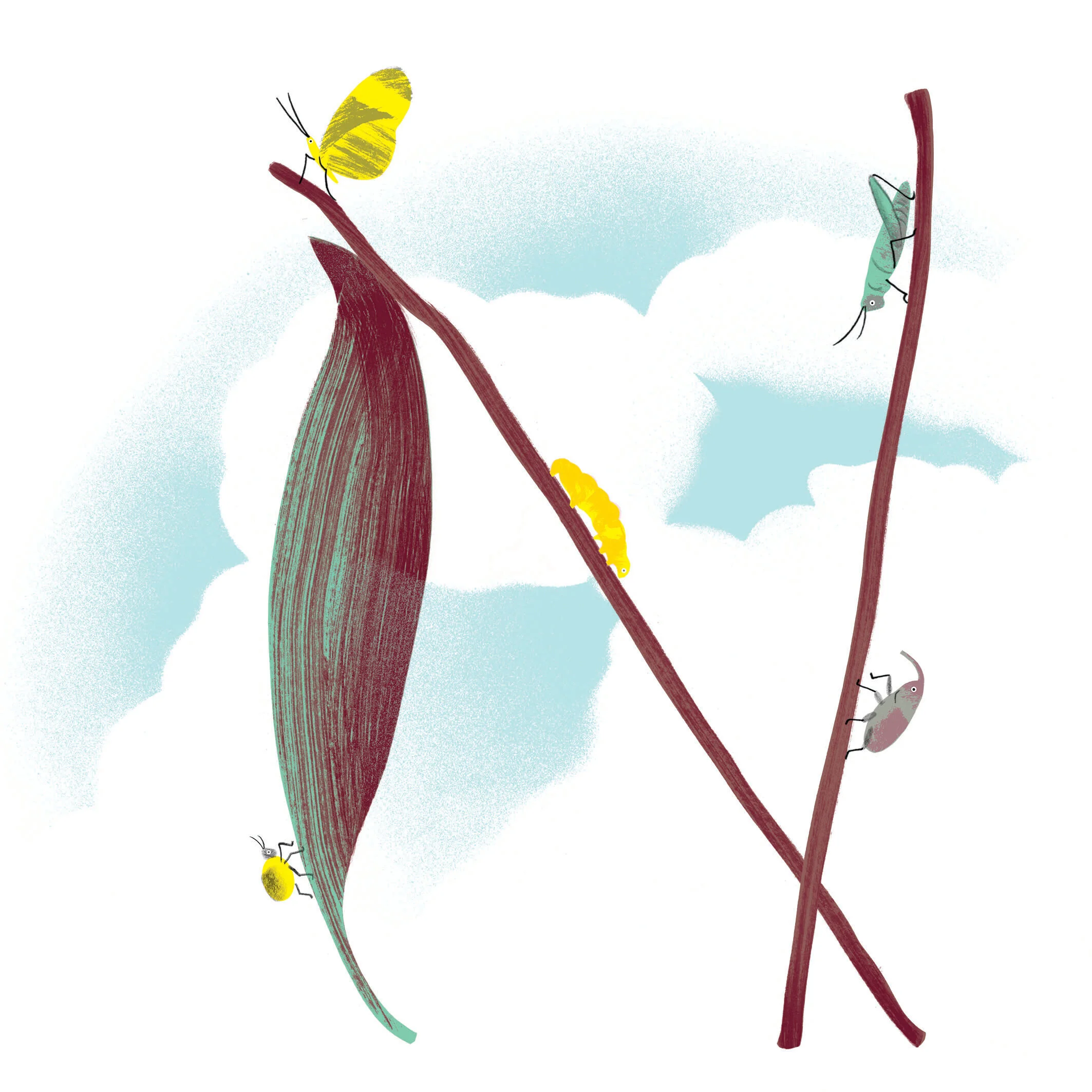 N - Nod to Nature_Online.jpg