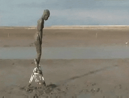 IMG_0507.gif