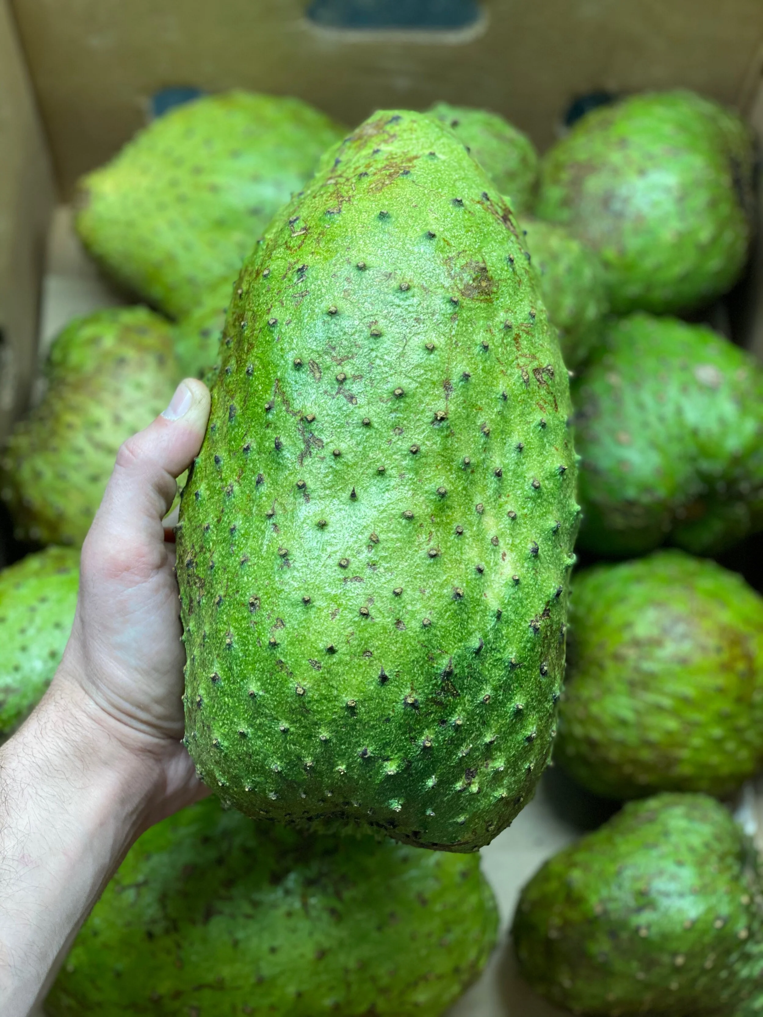 Full Moon Fruits / Helping People Eat Properly For Generations To Come